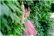 年轻的母亲4线在完整视频