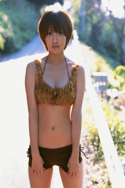风流女管家la在线播放